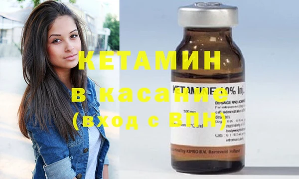 трава Пересвет