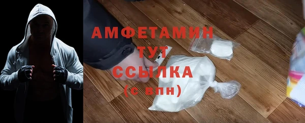шишки Переславль-Залесский