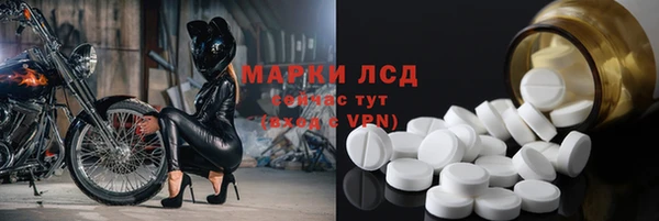 шишки Переславль-Залесский