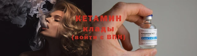 шишки Переславль-Залесский