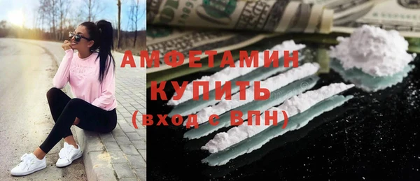 шишки Переславль-Залесский