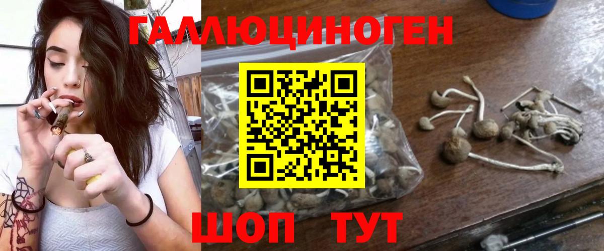 Сатка  Псилоцибиновые грибы Psilocybe  Вход с VPN  Псилоцибиновые грибы ЛСД 